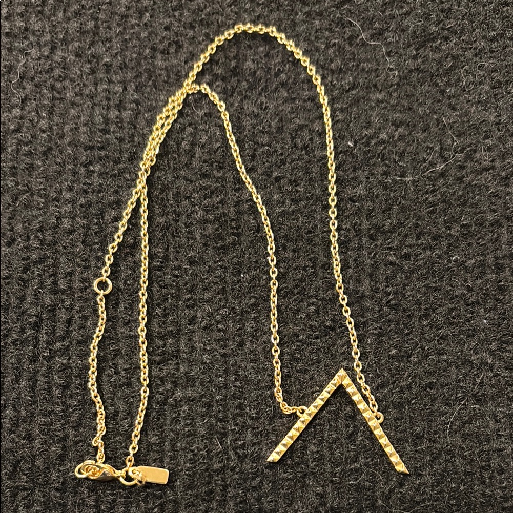 Elizabeth And James (Pre-Kohls) Elegant Gold Tone Necklace